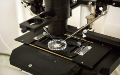Embryo Glue